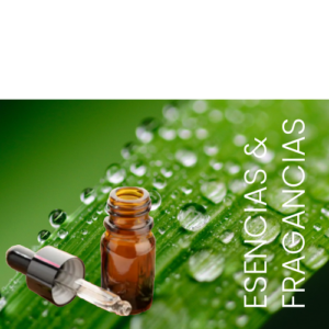 ESENCIA ARI - DEEP FOREST