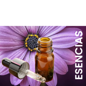 Esencias Desodorantes de Pisos