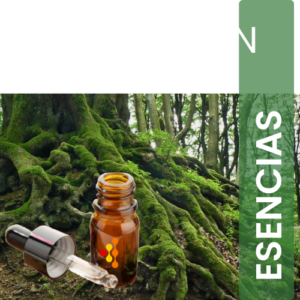 ESENCIA ARI - ORIGIN