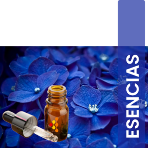 ESENCIA BLAU